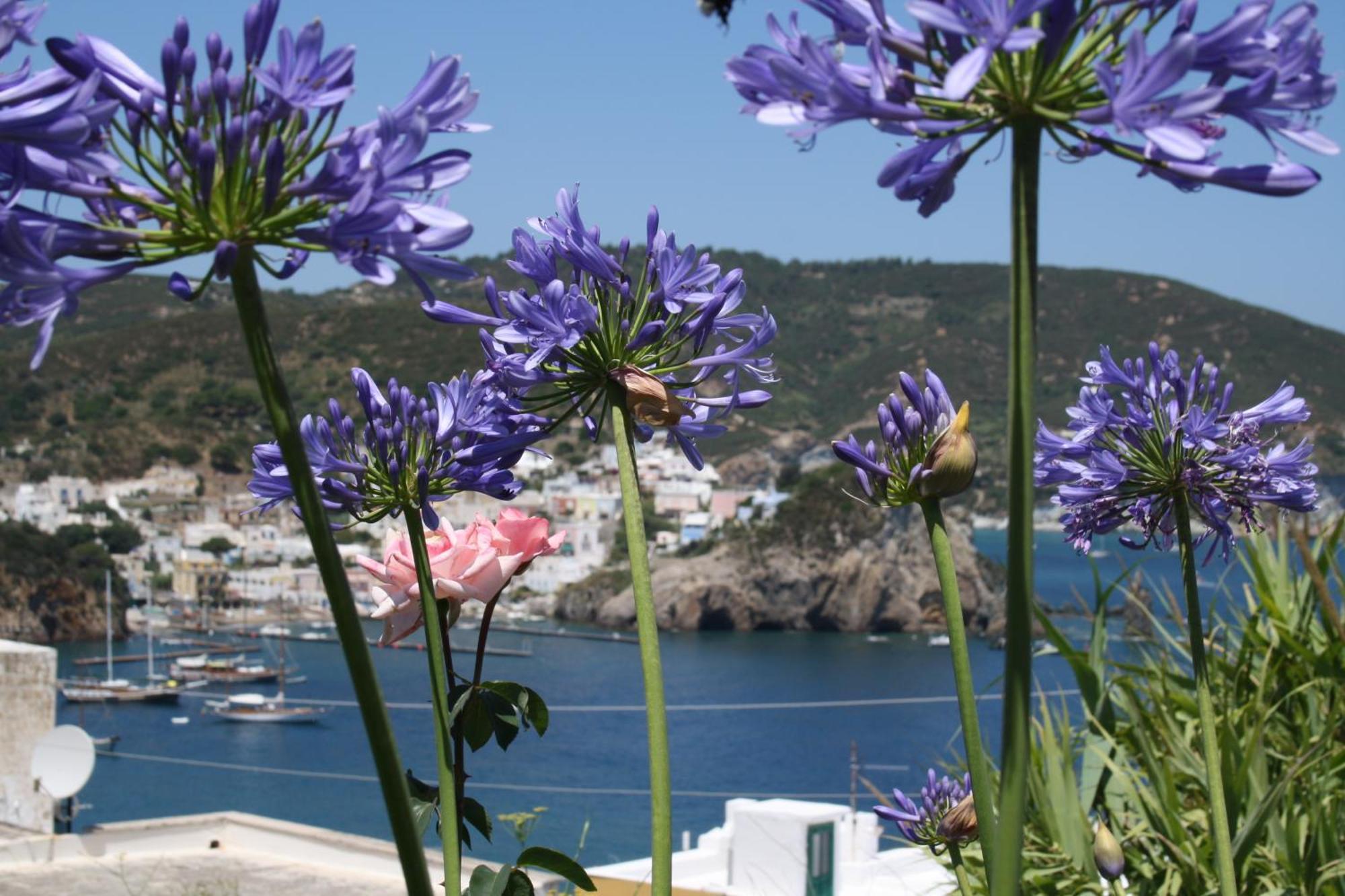 Villa Ersilia Ponza Dış mekan fotoğraf