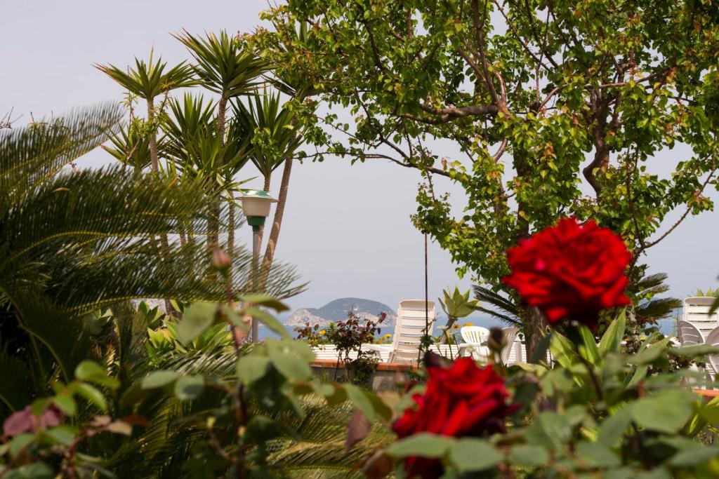 Villa Ersilia Ponza Dış mekan fotoğraf