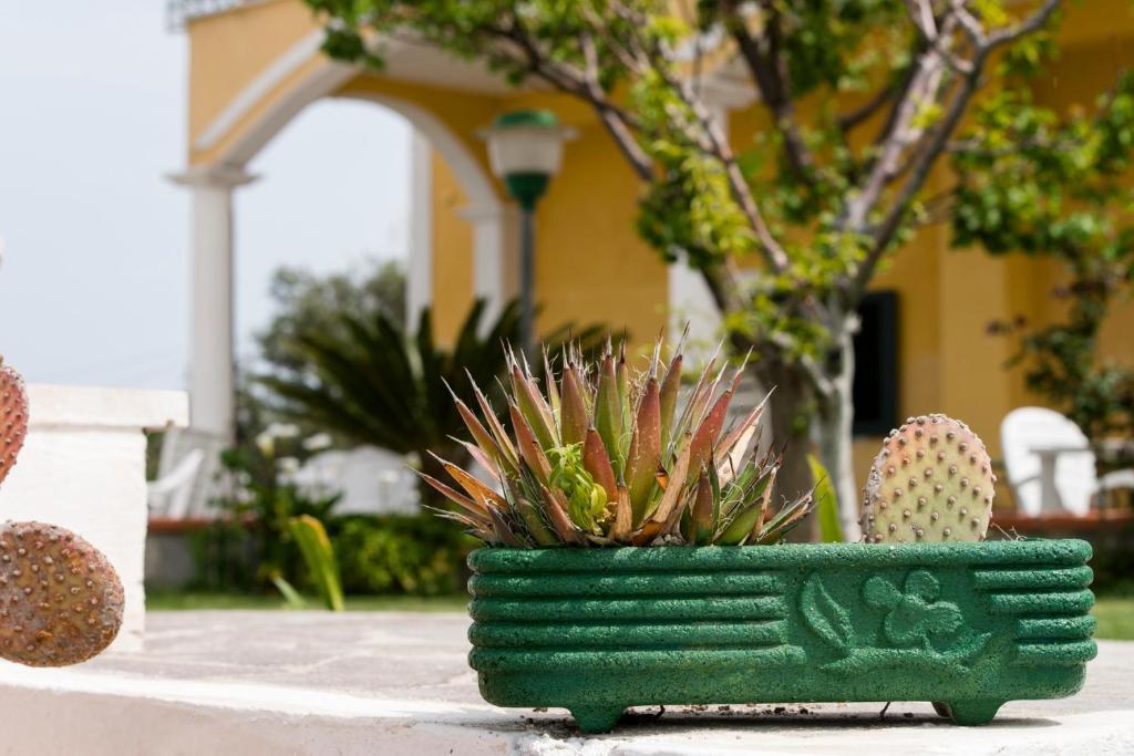 Villa Ersilia Ponza Dış mekan fotoğraf