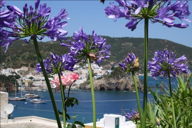 Villa Ersilia Ponza Dış mekan fotoğraf
